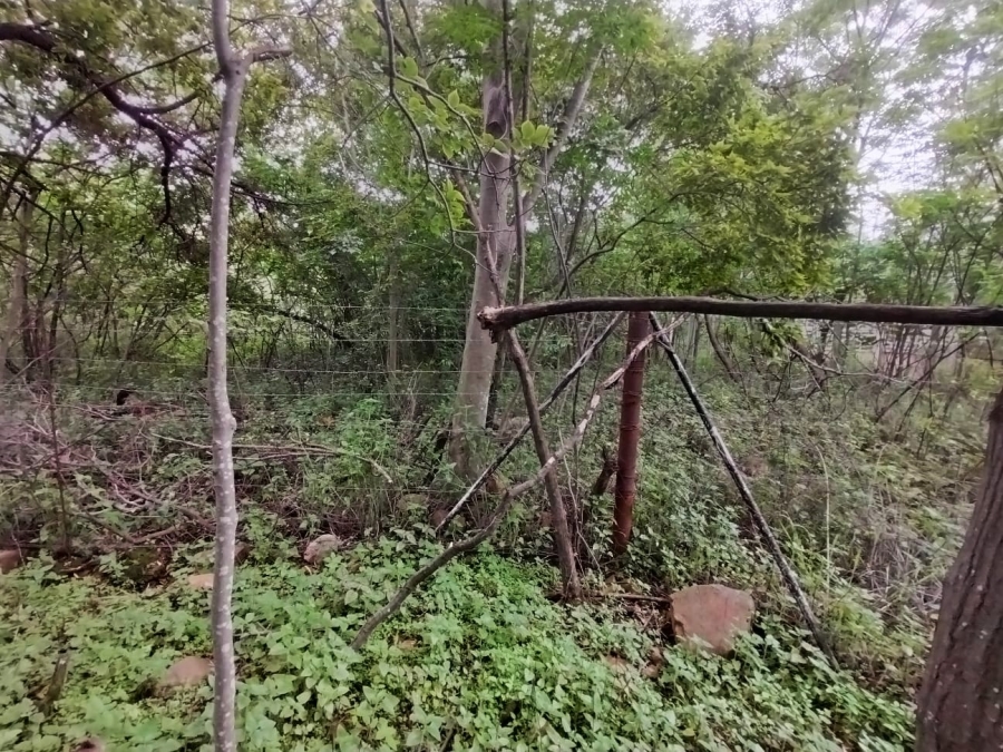 Commercial Property for Sale in Buffelsfontein A H North West